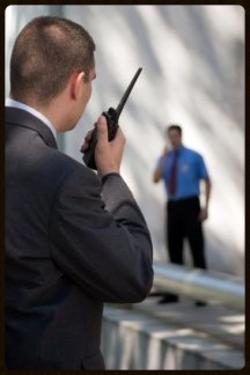 Law Court Security